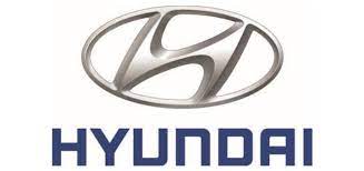 Hyundai_para_sayma_makinesi